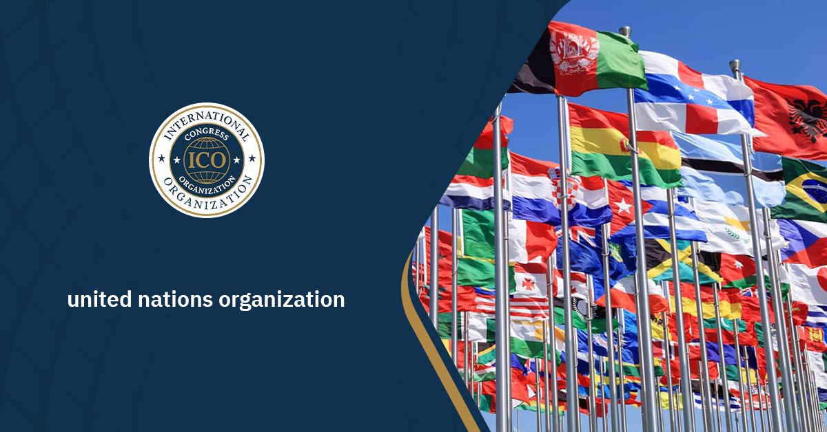 united nations organization